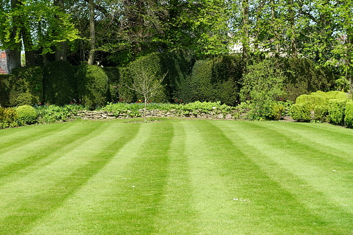 Top Tips For Aerating Your Yard